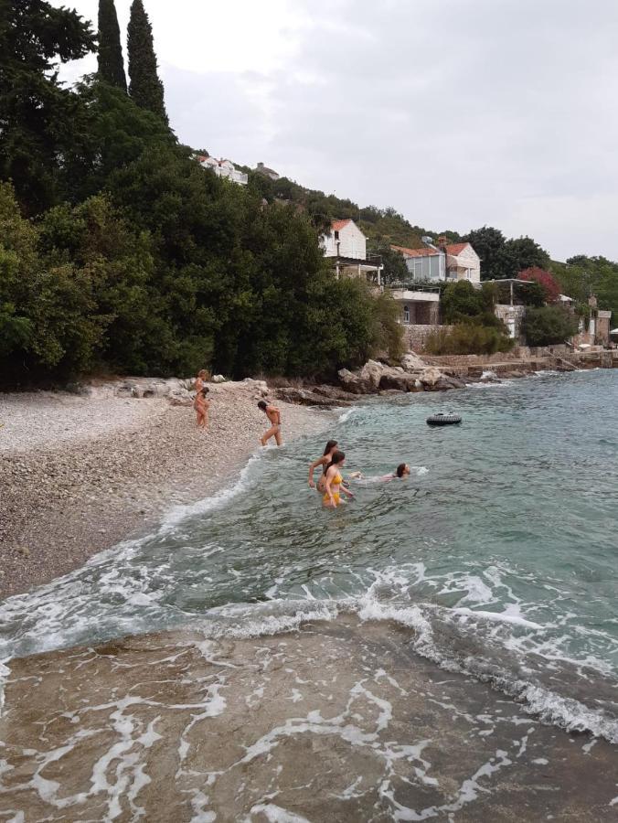 Apartment Oliva Lozica
