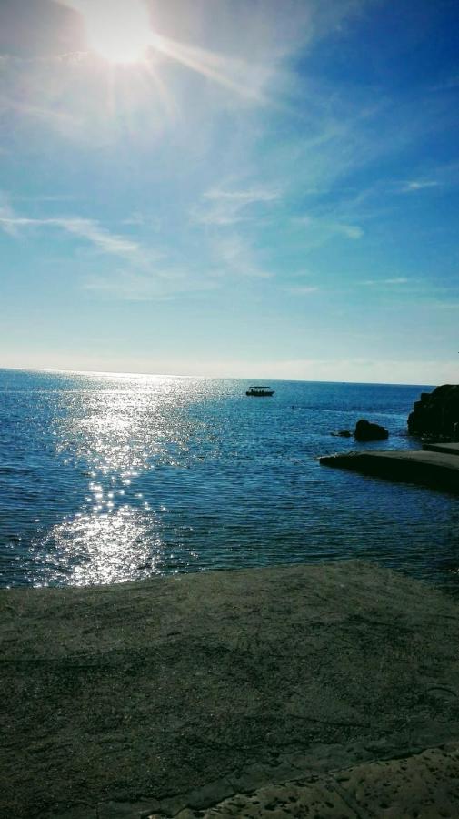 Oliva Lozica Apartman